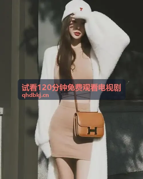 试看120分钟免费观看电视剧家庭聚会场景
